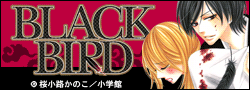 �wBLACK BIRD�x���A
�����H���̂���i�|�C���g�Ҍ��I