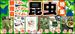 観てよし、獲ってよし、食べてよし！
