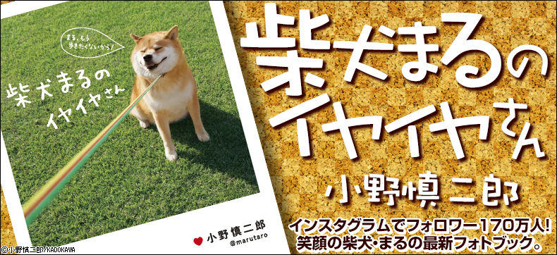 柴犬まるのイヤイヤさん
