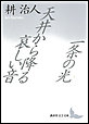 ����̌��E�V�䂩��~�鈣������