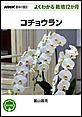 �悭�킩��͔|12�����@�R�`���E����