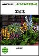 �悭�킩��͔|12�����@�G�r�l