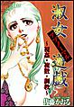 淑女アブノーマル遊戯〜視姦・複数・調教〜