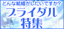 �u���C�_�����W