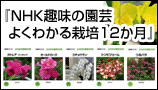 NHK趣味の園芸