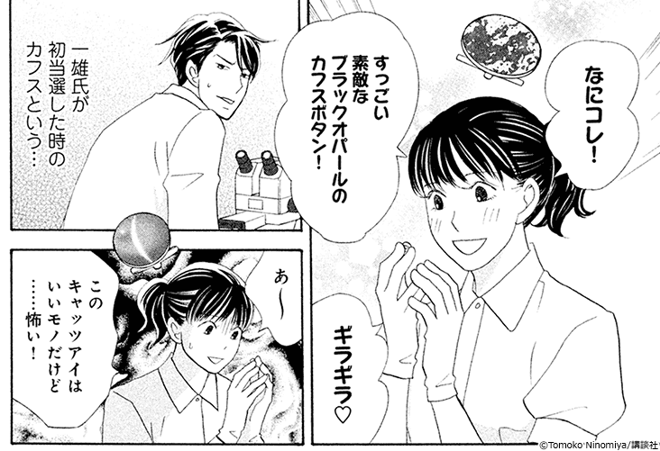『七つ屋志のぶの宝石匣』