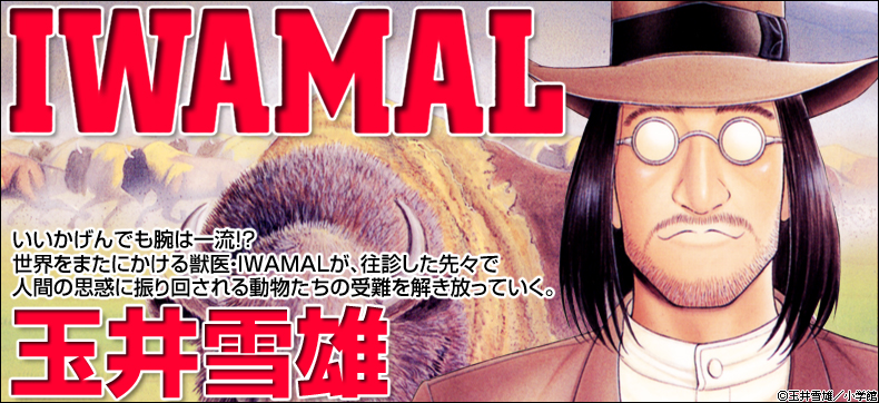 IWAMAL 岩丸動物診療譚