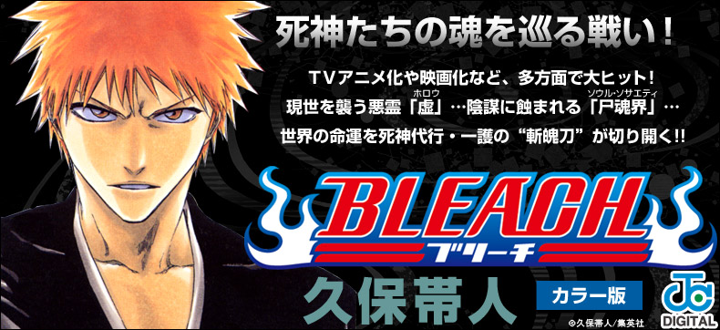 BLEACH カラー版
