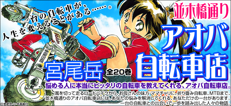 並木橋通りアオバ自転車店