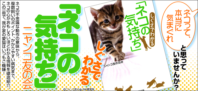 しぐさでわかる「ネコの気持ち」