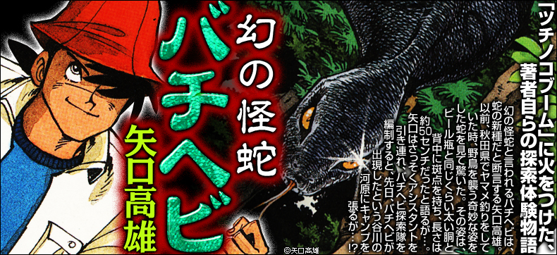 幻の怪蛇バチヘビ