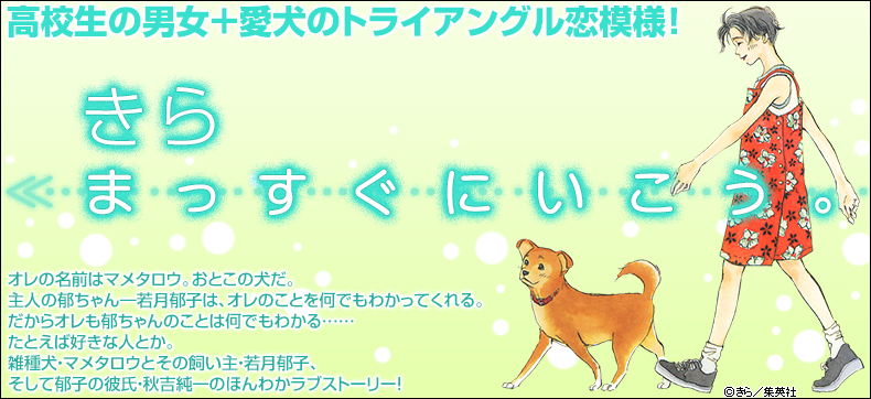 まっすぐにいこう。