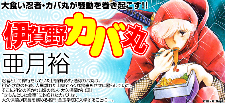 伊賀野カバ丸