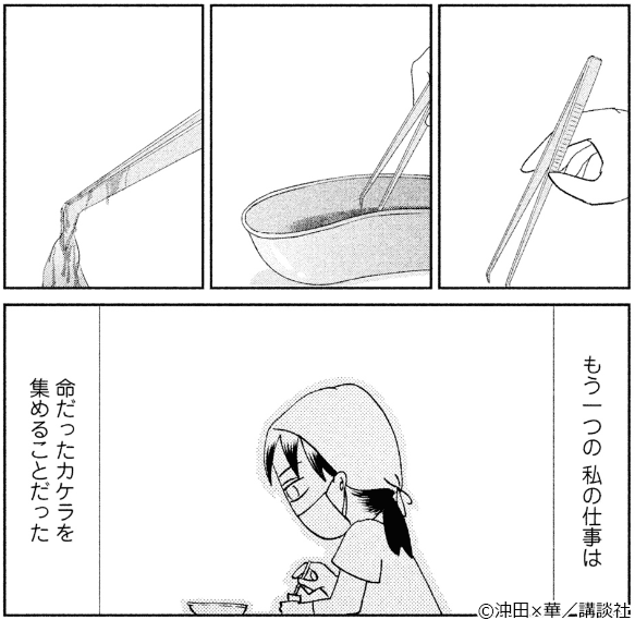 透明なゆりかご 産婦人科医院看護師見習い日記
