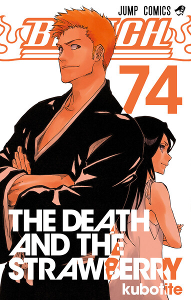 BLEACH(ブリーチ)モノクロ版 74巻