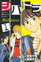 シバトラ (1)