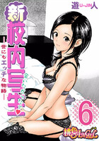 新・校内写生 ~世にもエッチな物語~ (6~10巻セット)