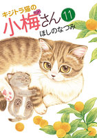 キジトラ猫の小梅さん (11~15巻セット)