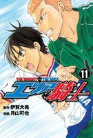 エリアの騎士 (11~15巻セット)