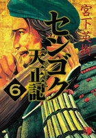 センゴク天正記 (6~10巻セット)