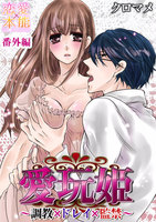 【割引版】愛玩姫~調教×ドレイ×監禁~ (全巻+番外編)